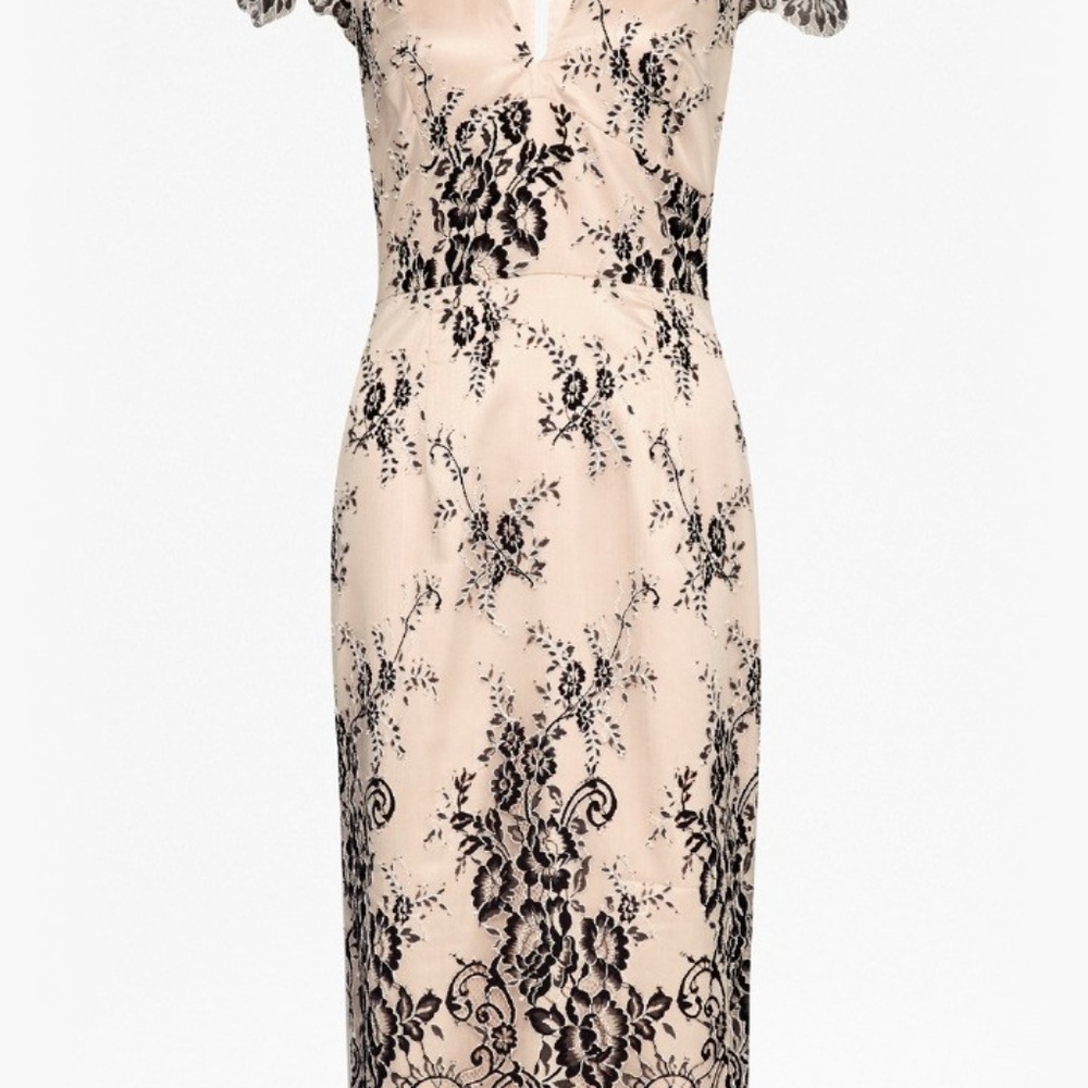 French Connection Rosalie Lace Midi Dress - Picture 4 of 13
